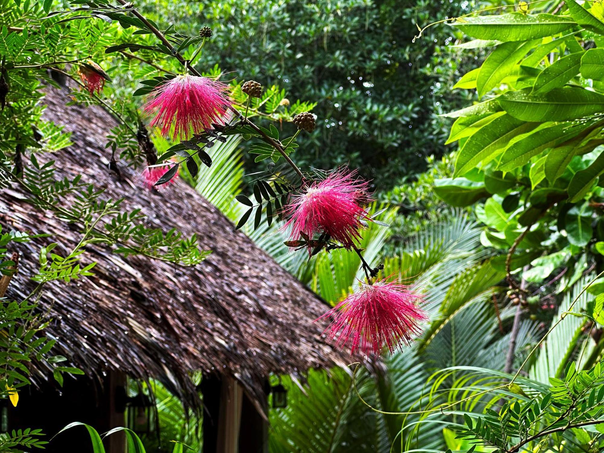 Dreamville Koh Phangan Thong Sala Esterno foto